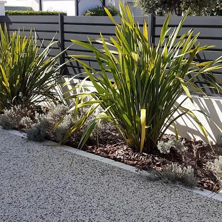 Apartament Leonard *